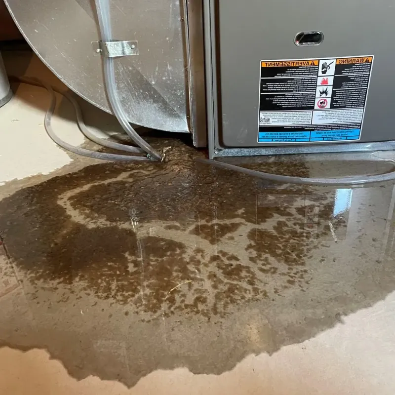 Pipe Burst and Leak Restoration in Versailles, PA