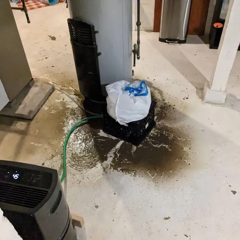 Sewage Backup Cleanup Service in Versailles, PA